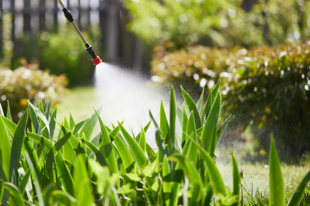 24/7 Emergency Ant Control experts in De Pere, WI